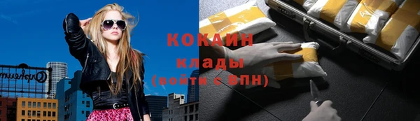 сатива Нефтекумск